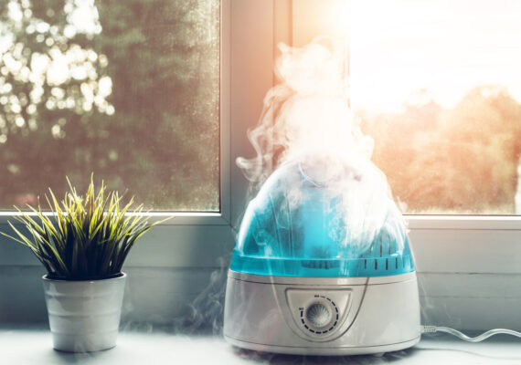 Buyer’s Guide: How to Pick the Right Air Purifier