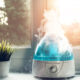 Buyer’s Guide: How to Pick the Right Air Purifier